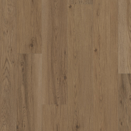 Toasted Alder