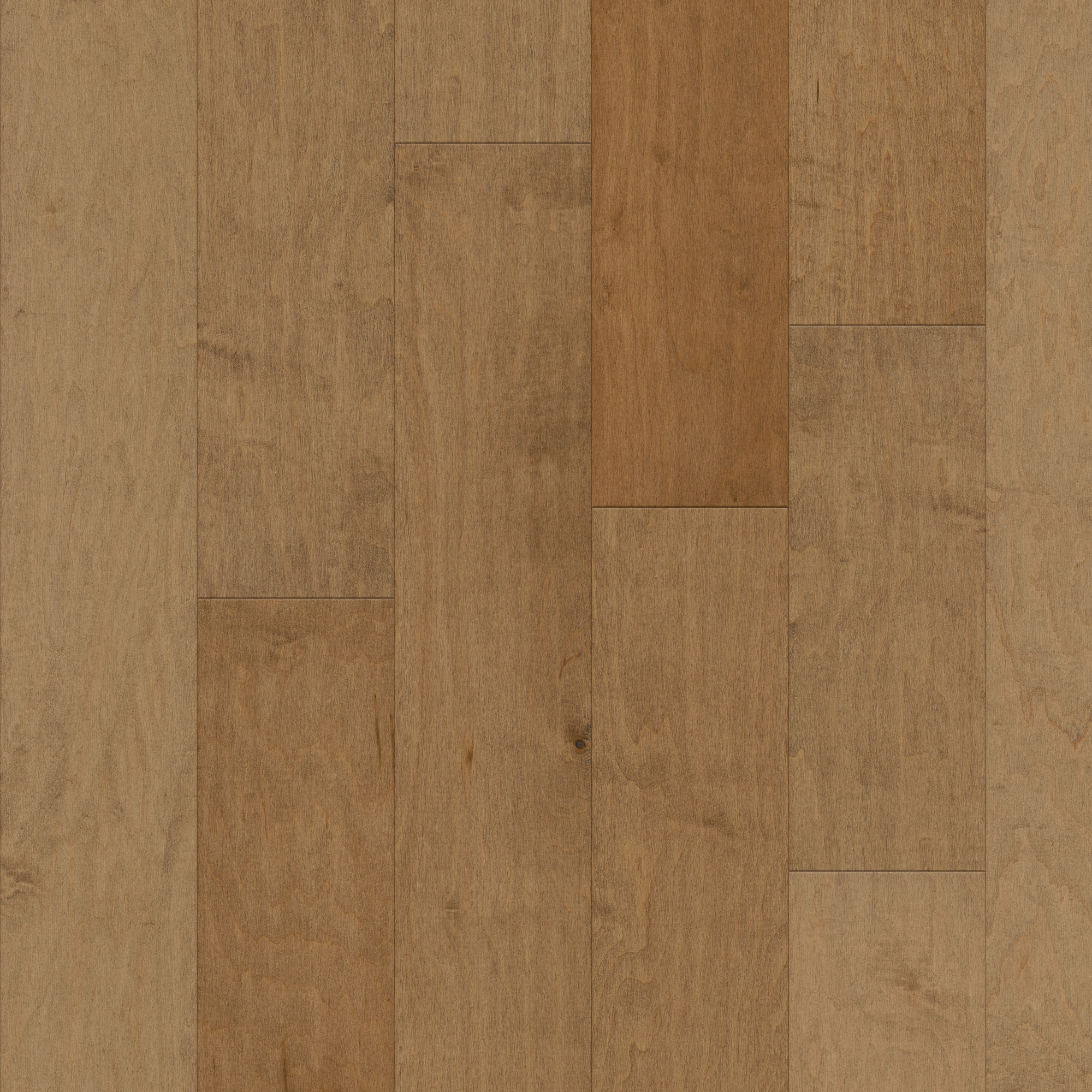 Gold Dust, laid flat, seen from above