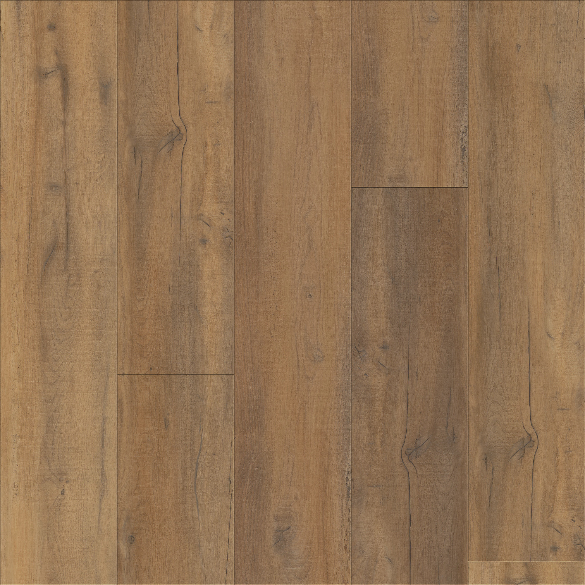 Virtue Oak, laid flat, seen from above