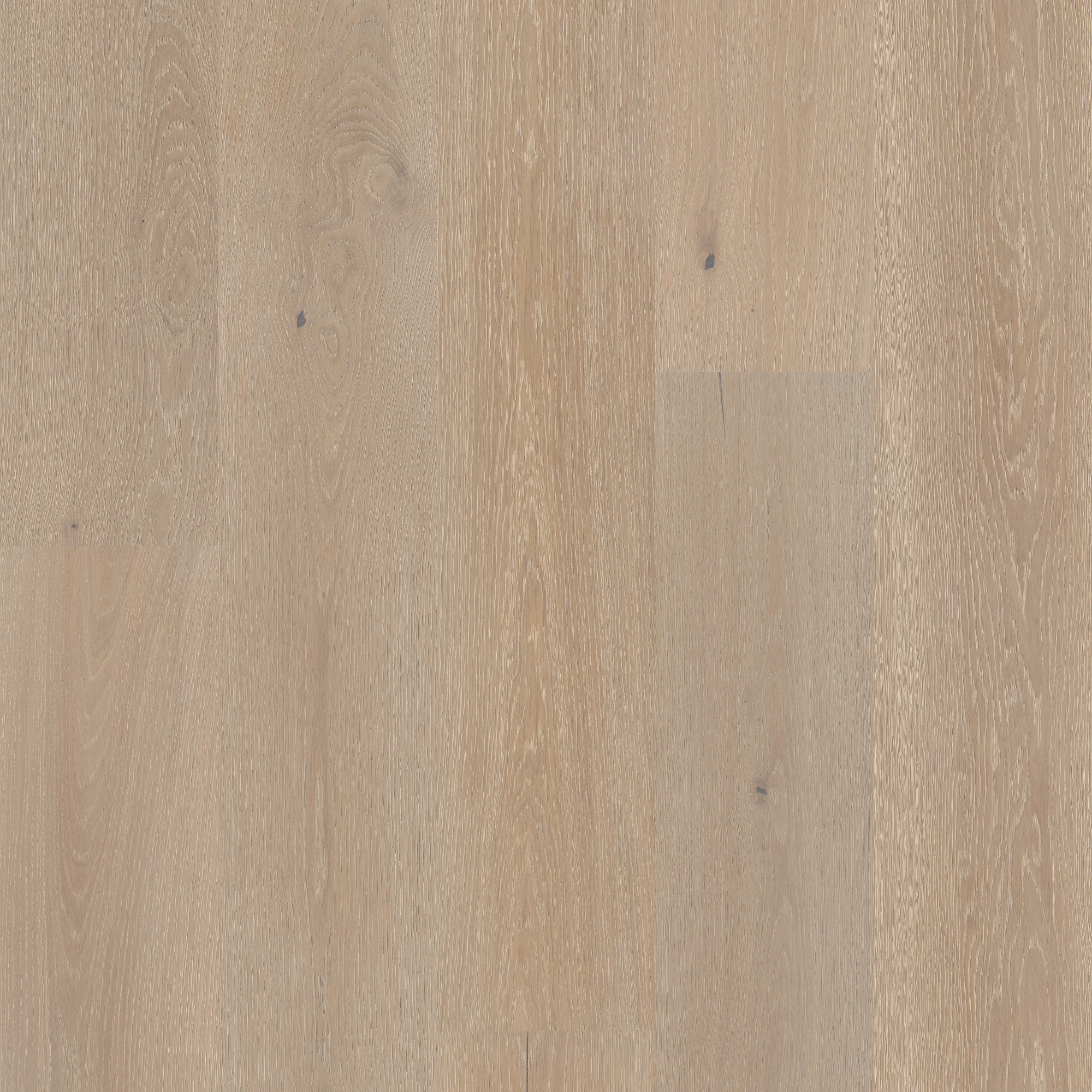 Sutton Court swatch