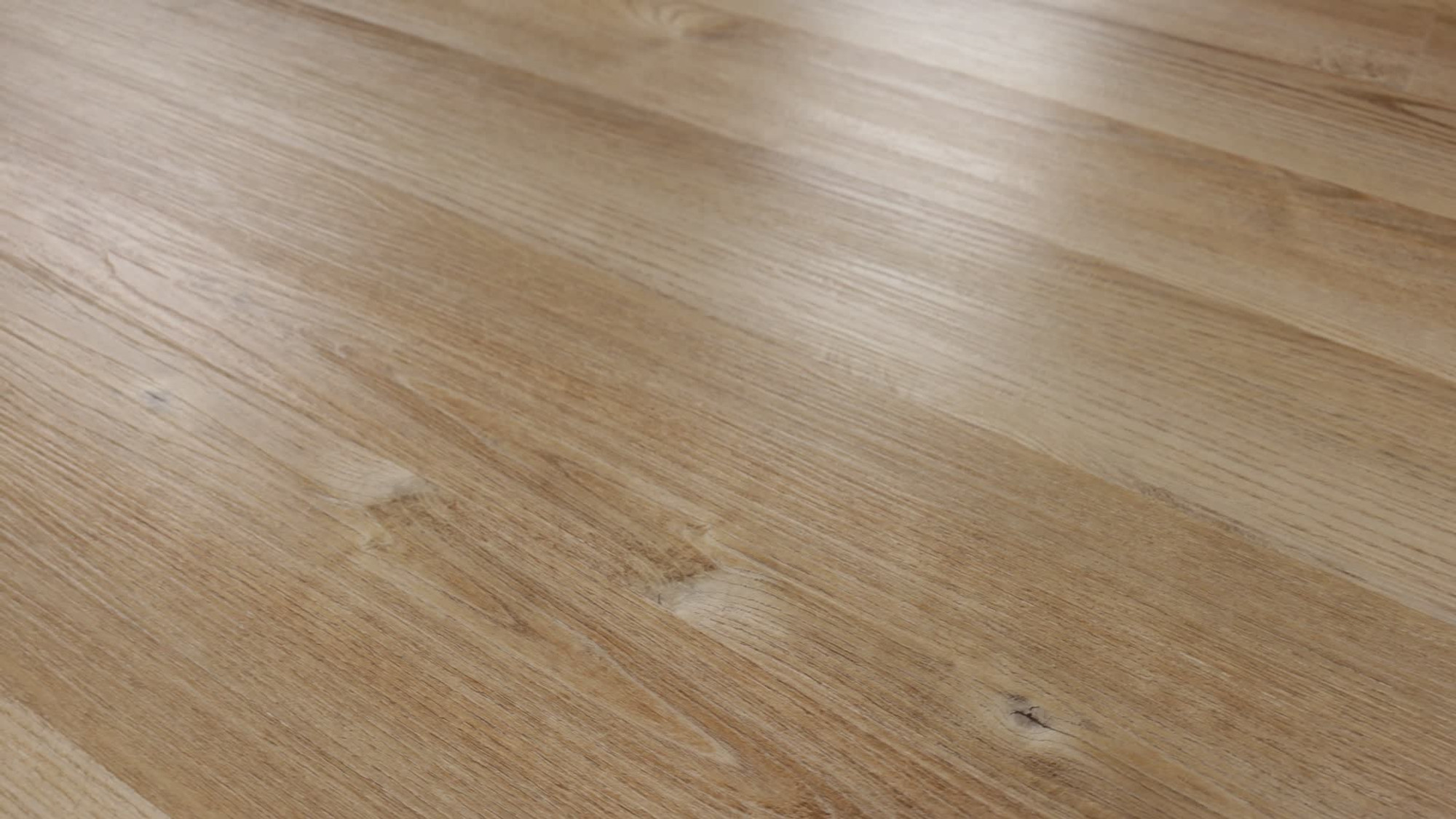 Wheldon Oak, the manufacturer's 360 video