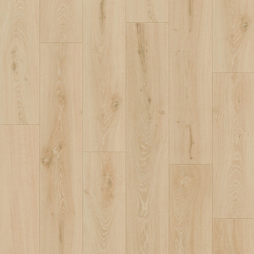 Butterscotch Oak