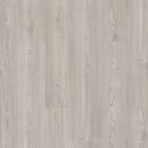 Clean Pine