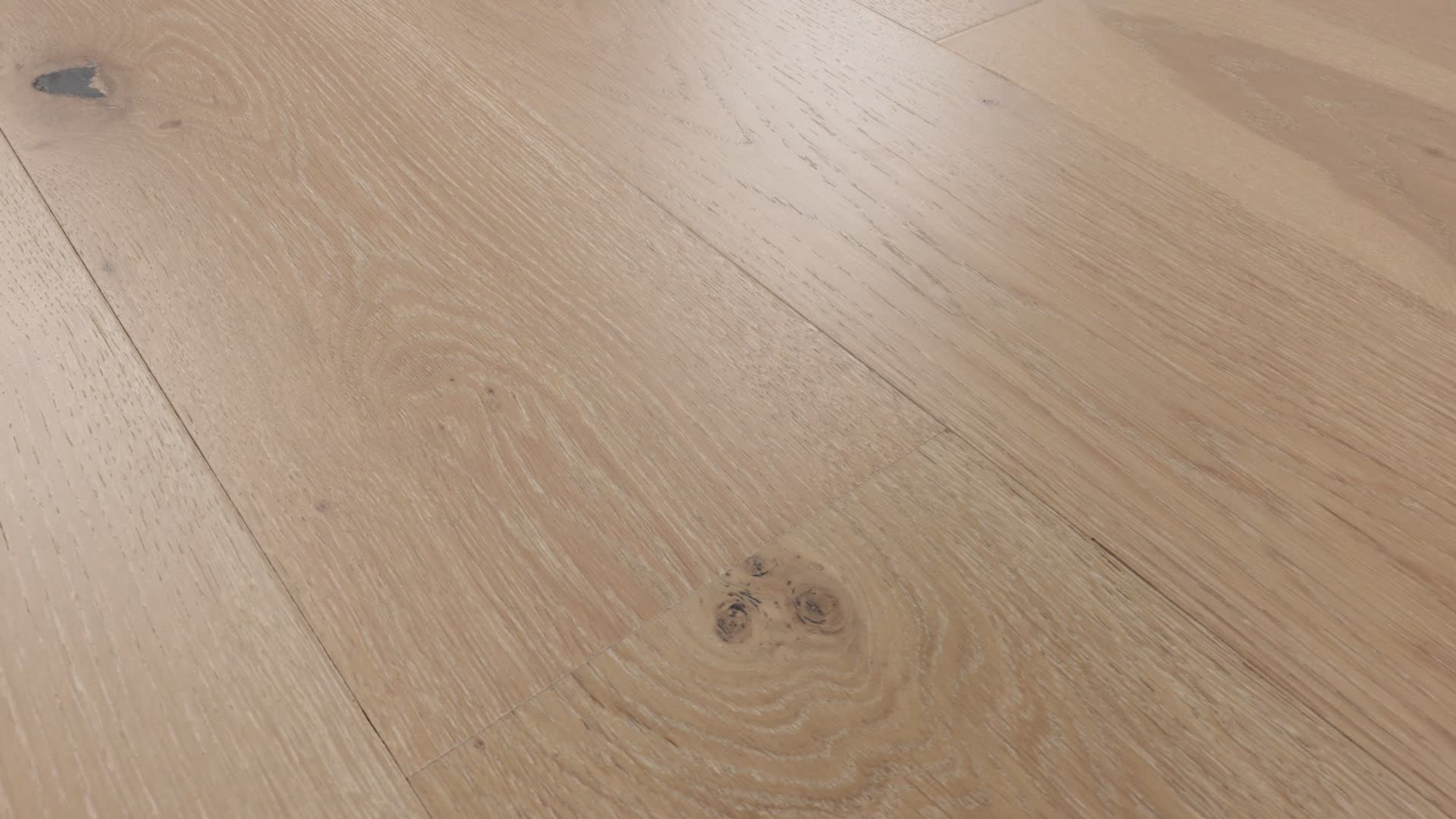Meringue, the manufacturer's 360 video