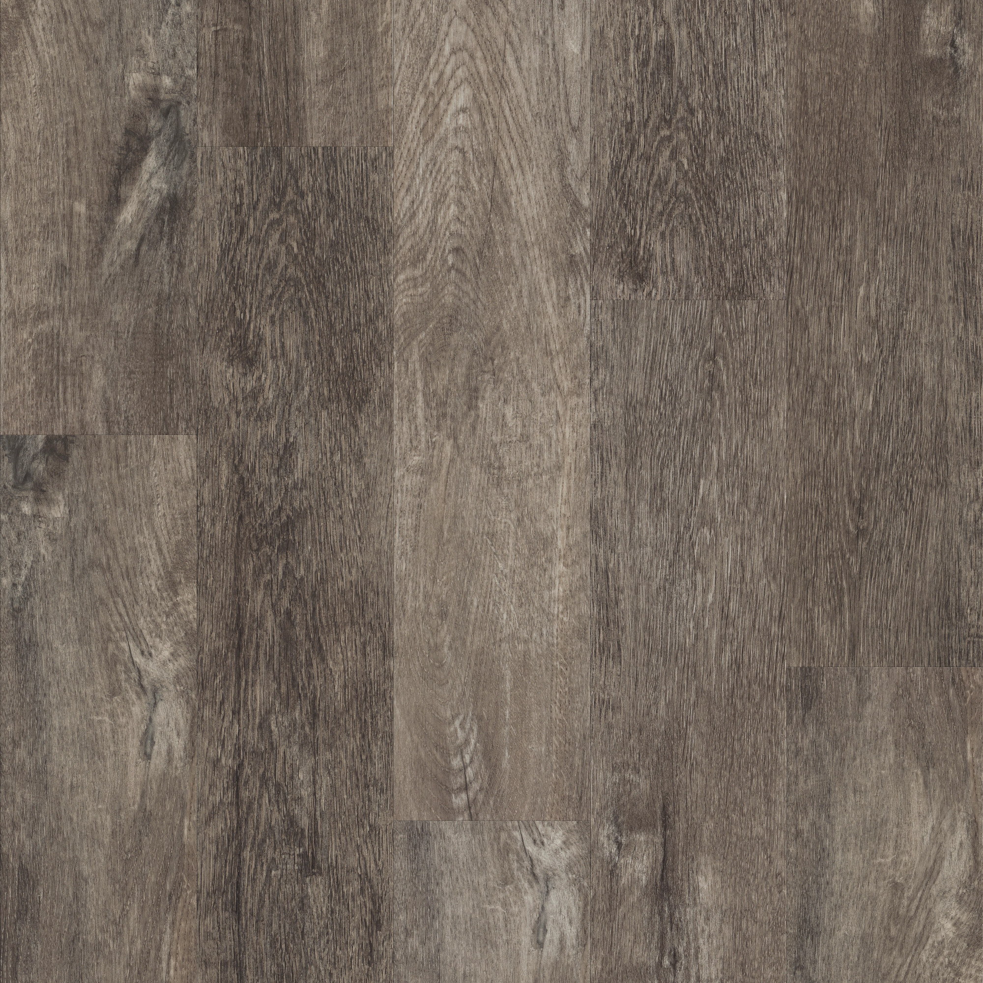 Smoky Oak, laid flat, seen from above