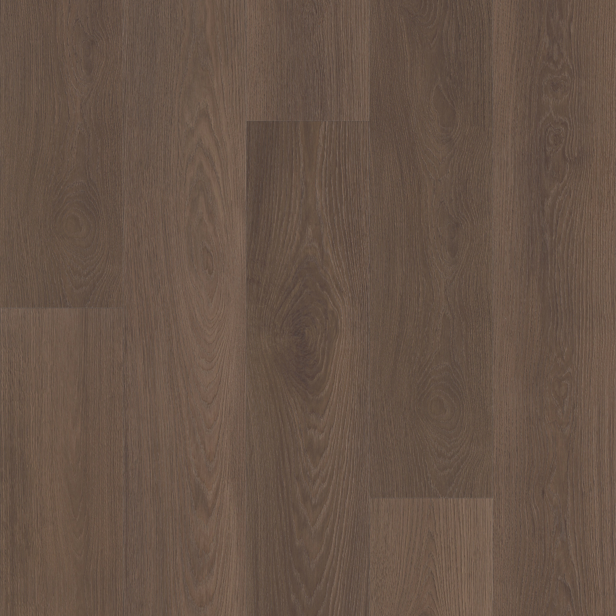 Sierra, laid flat, seen from above
