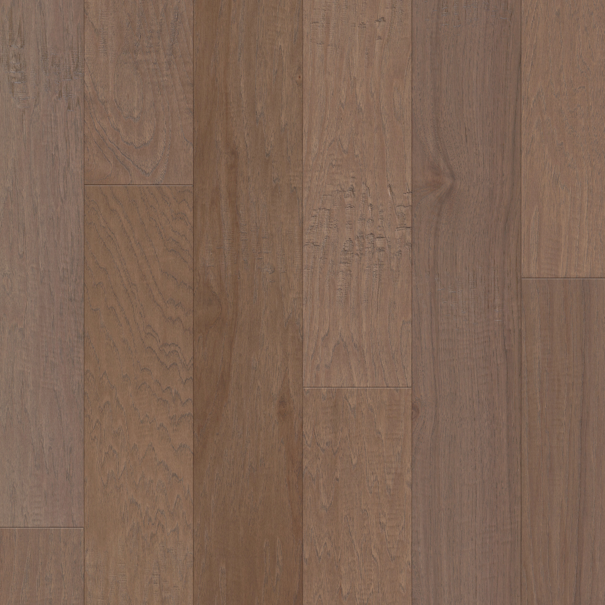 Cassia Bark swatch