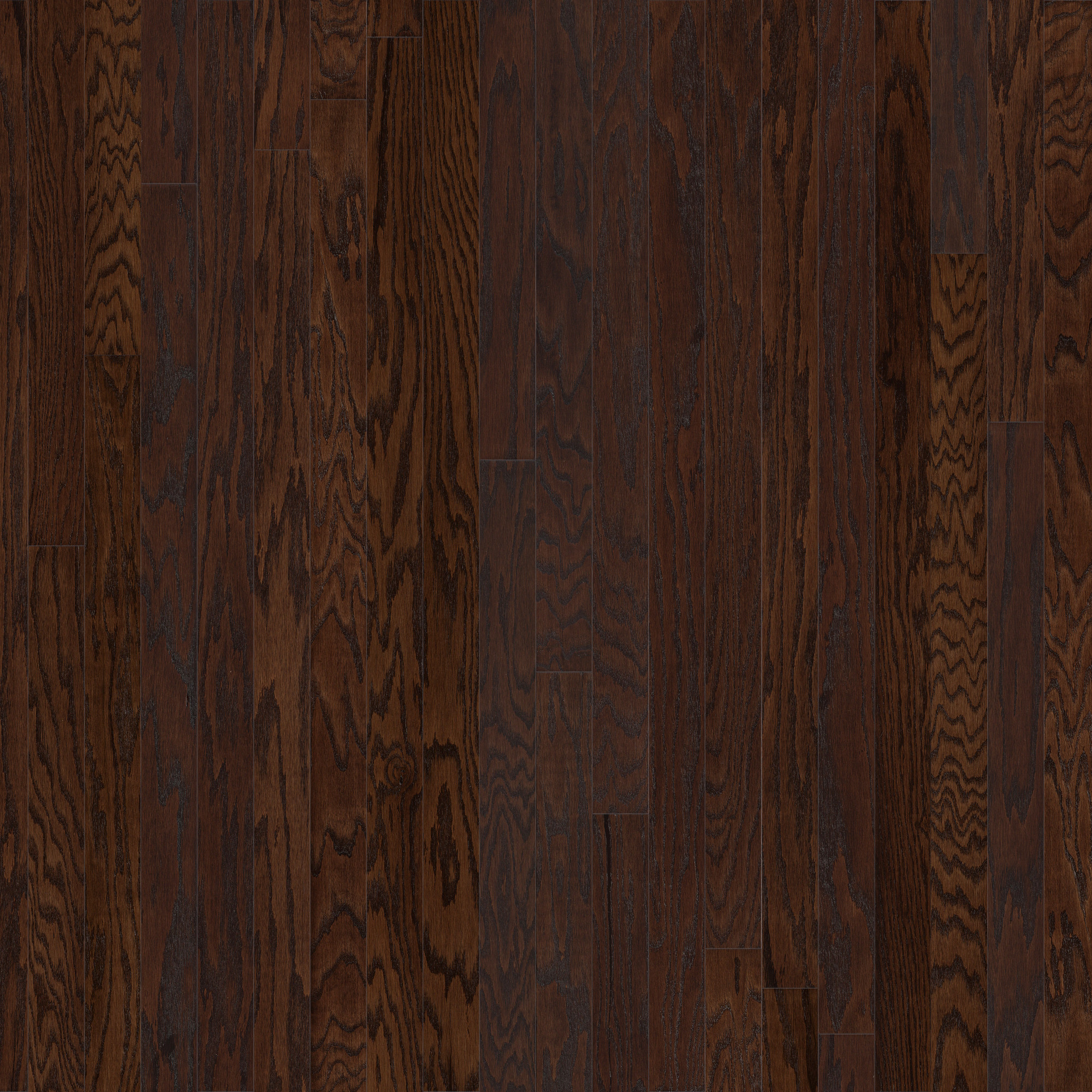 Coffee Bean swatch