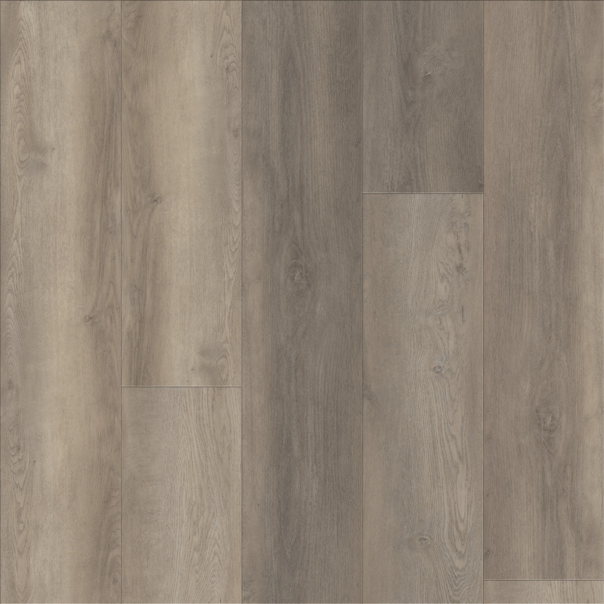 Leisure Oak, laid flat, seen from above