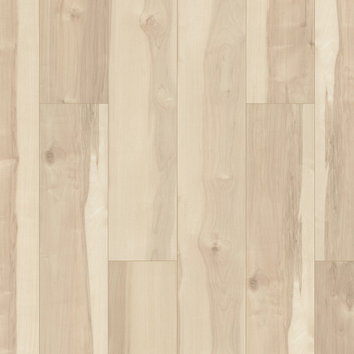 Atlas Maple