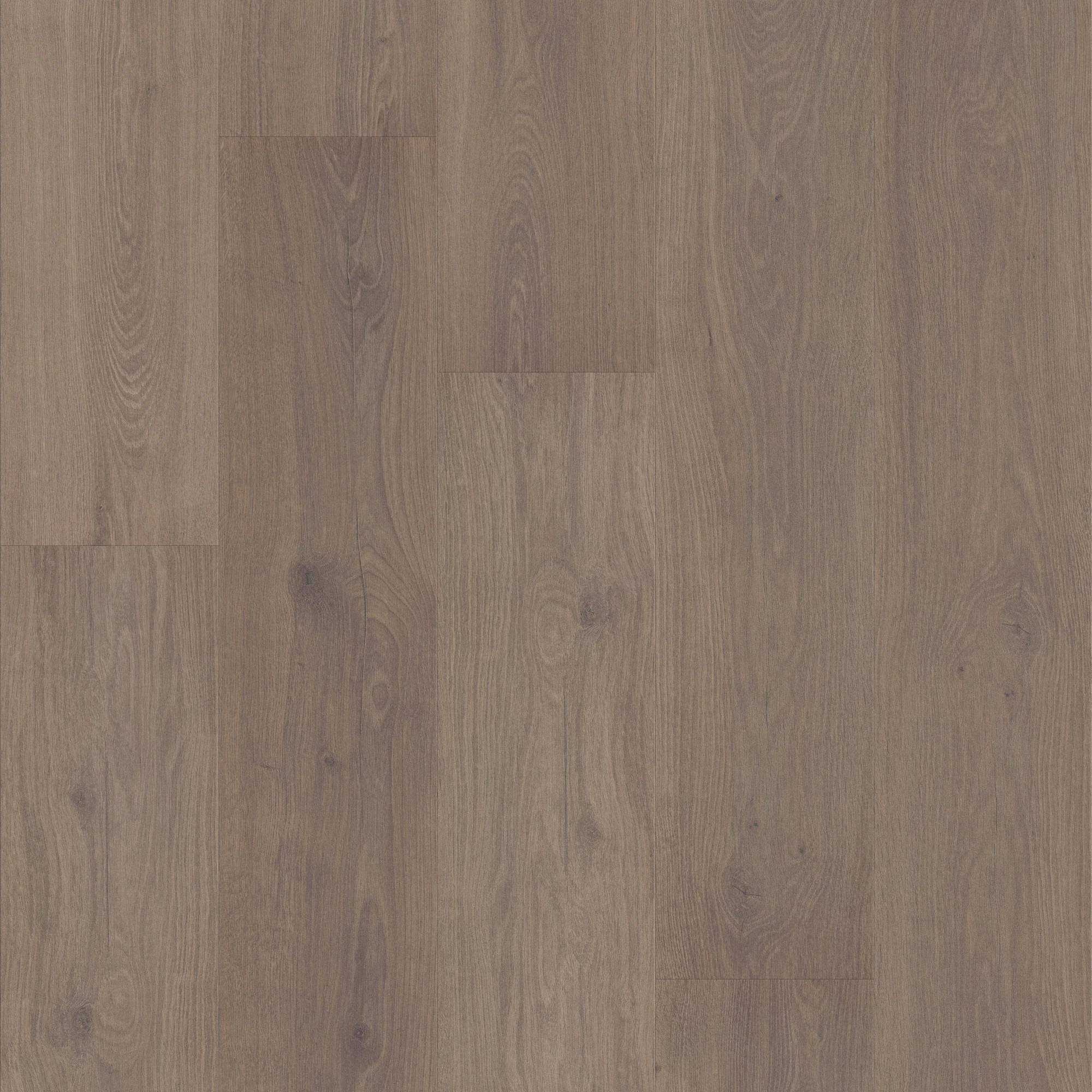 Northwood Gray swatch