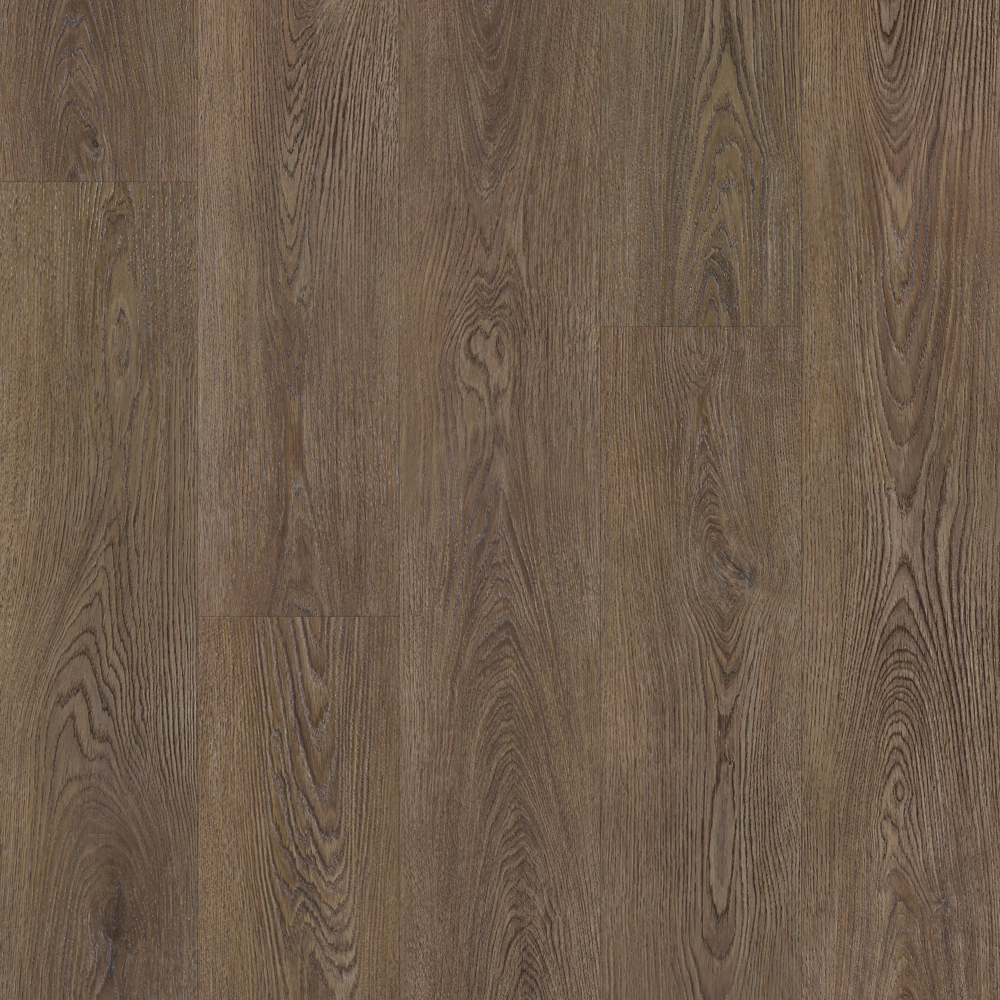 Mustang Oak, laid flat, seen from above