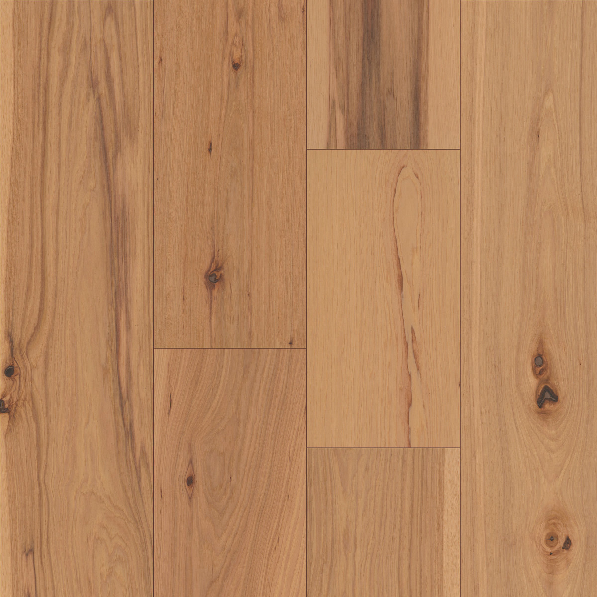 Acadia, Landmark Sliced Hickory