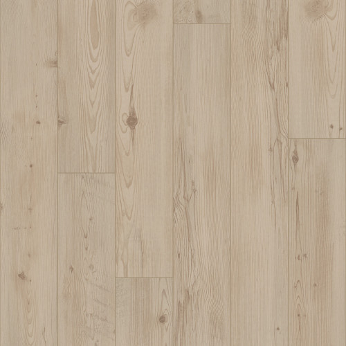 Galleria Pine