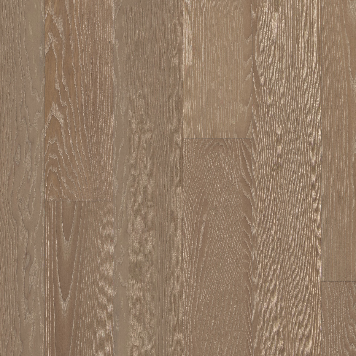 Ballet, European Ash