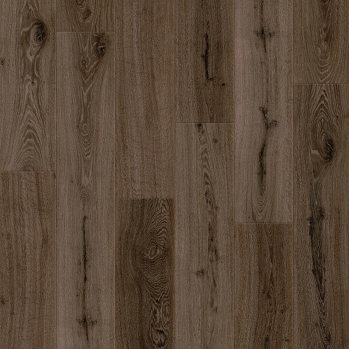 Obsidian Oak