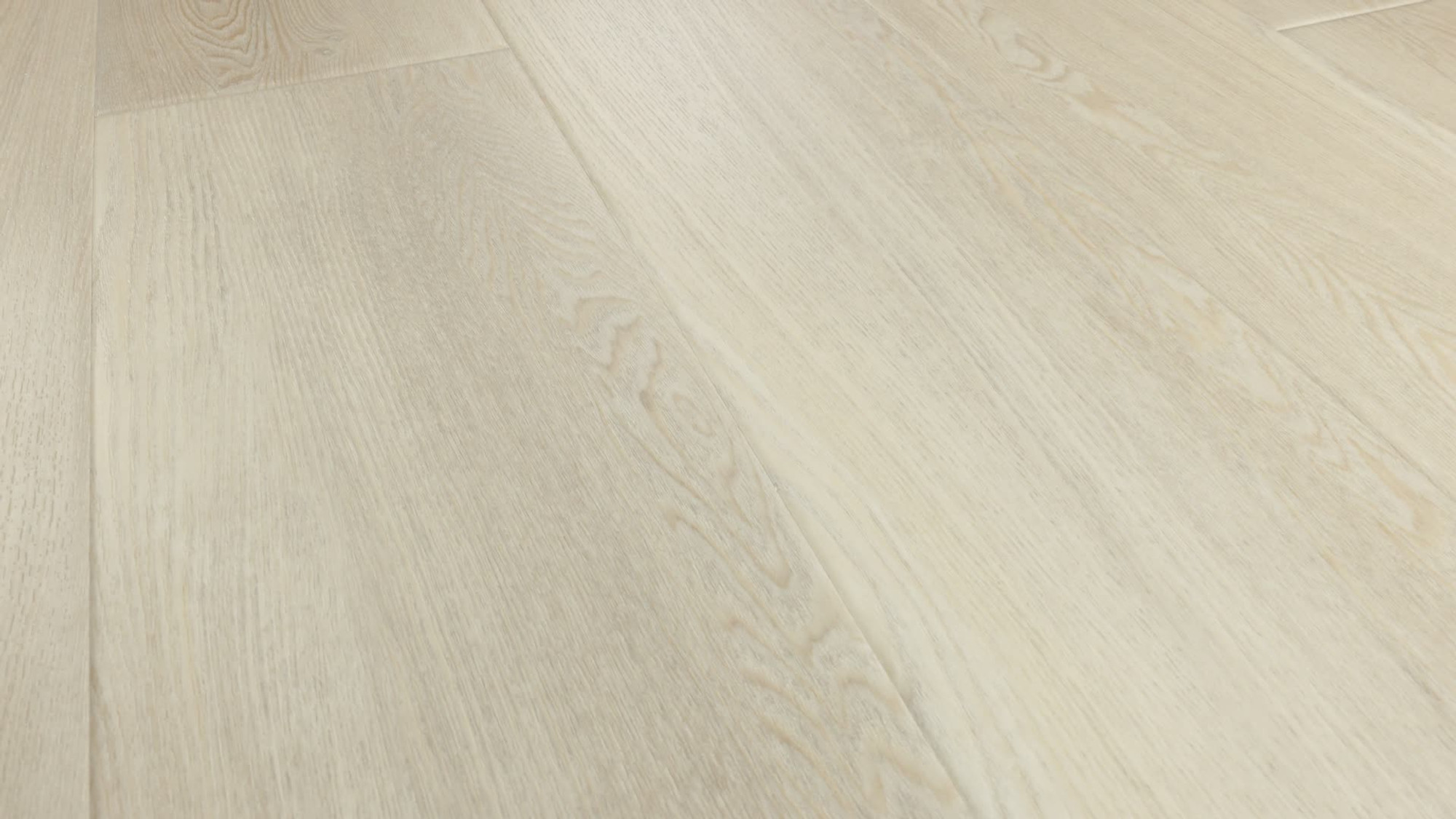 Conch Ash, the manufacturer's 360 video