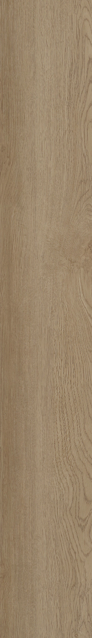 Ohlone Oak swatch