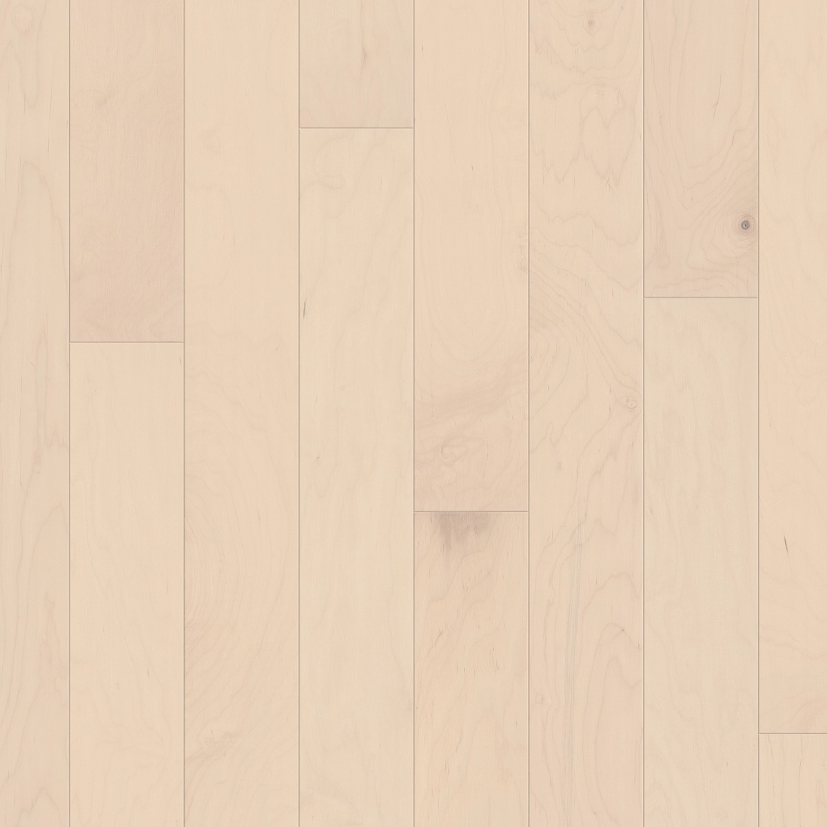 Americana, Eclectic Maple