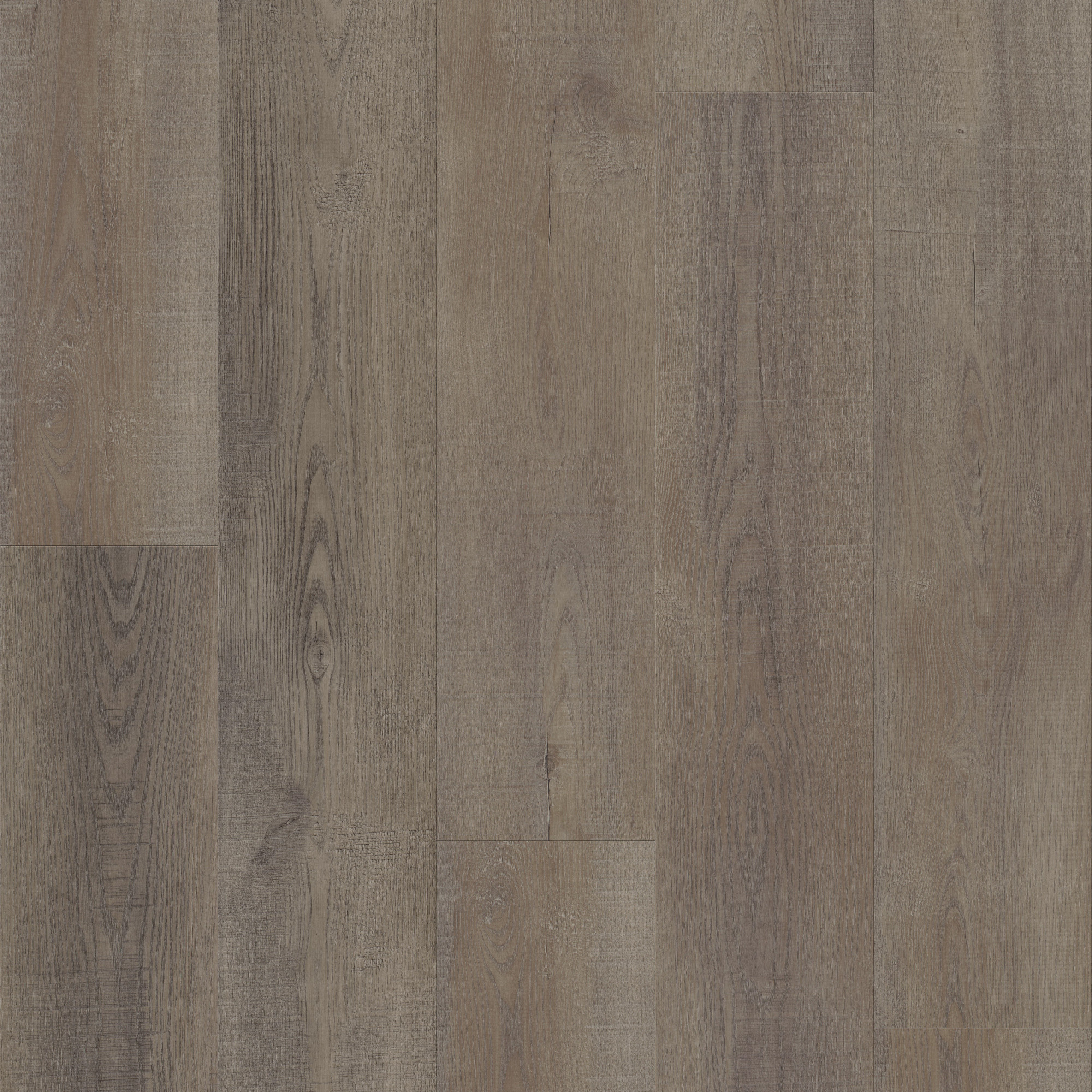 Laguna Oak, laid flat, seen from above