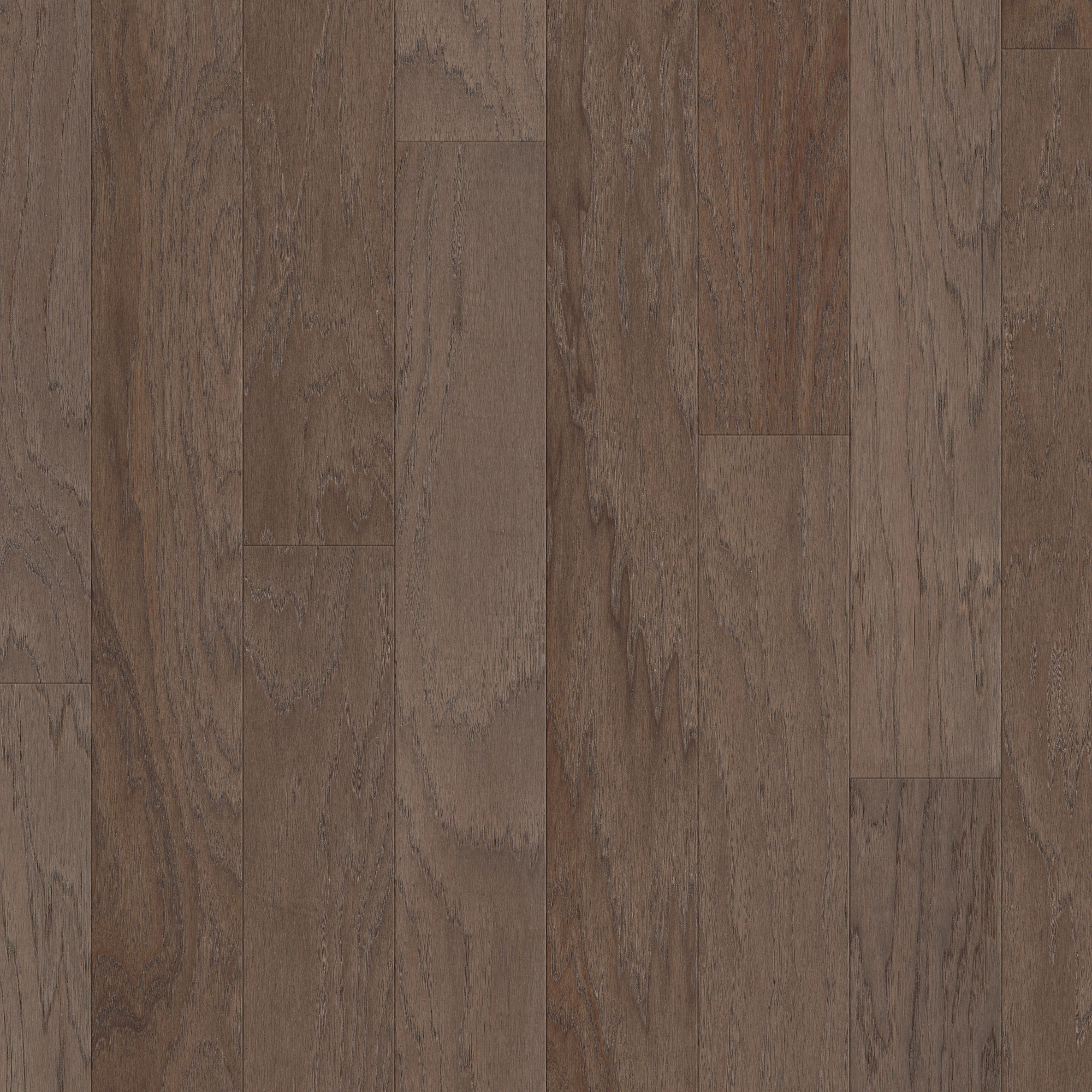 Chestnut swatch