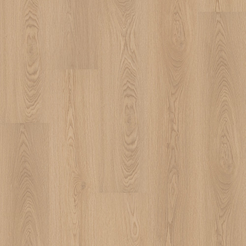 Desert Sandstone