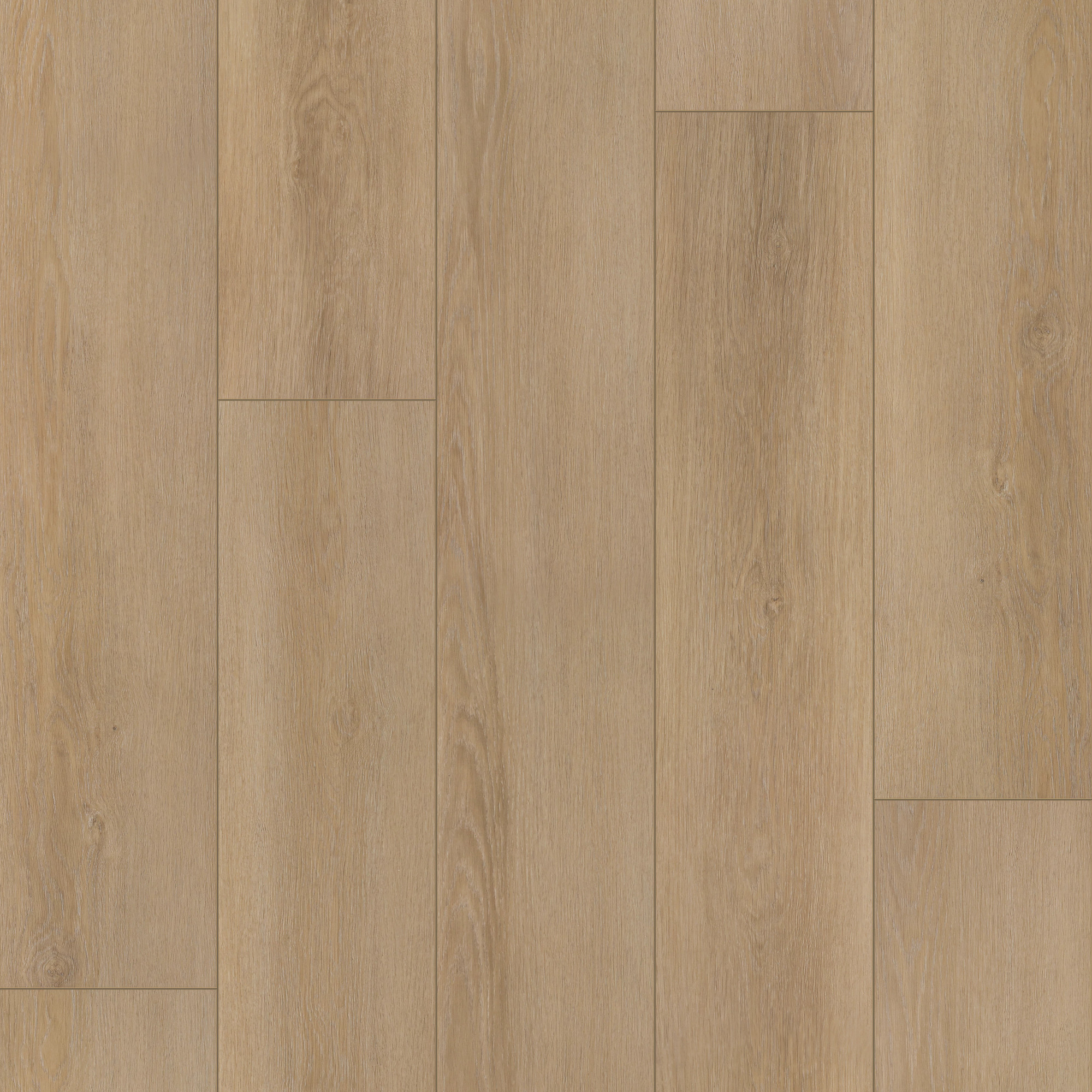 Golden Veil Oak swatch