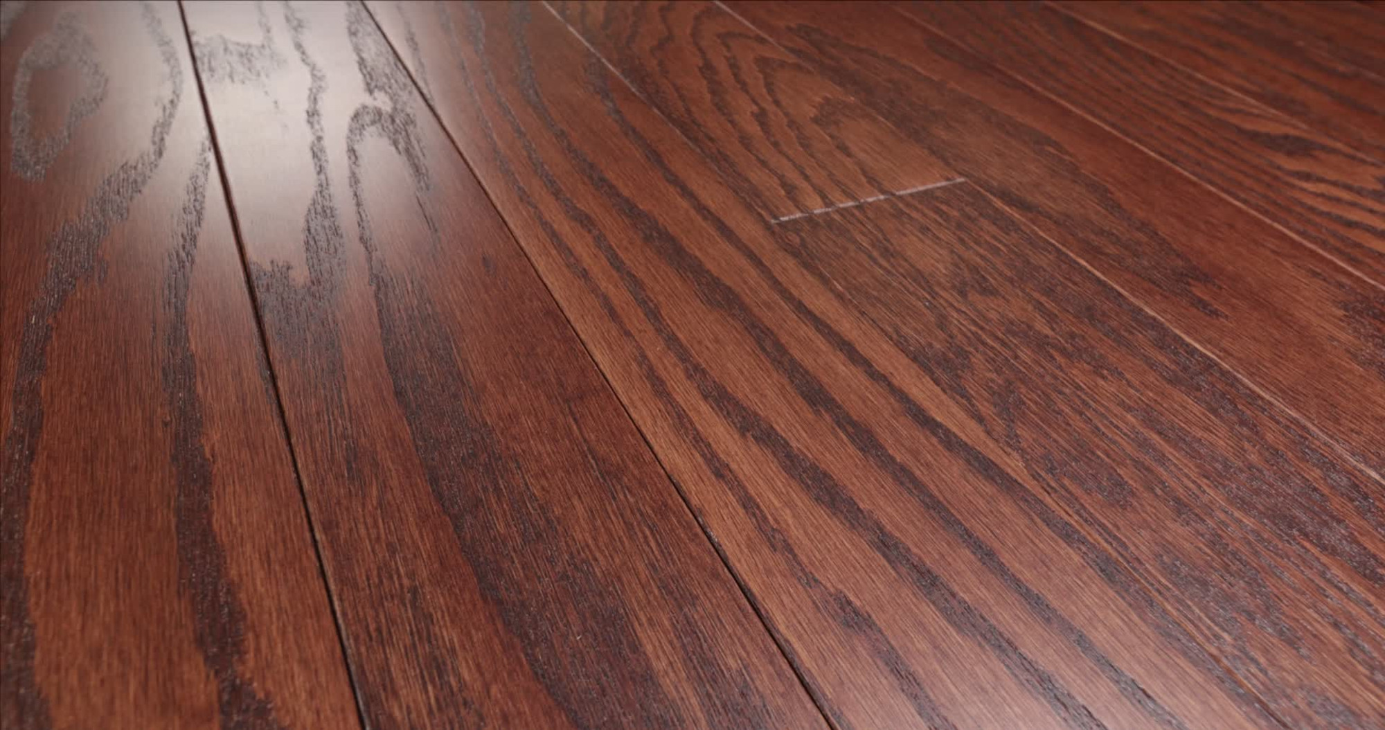 Hazelnut, the manufacturer's 360 video