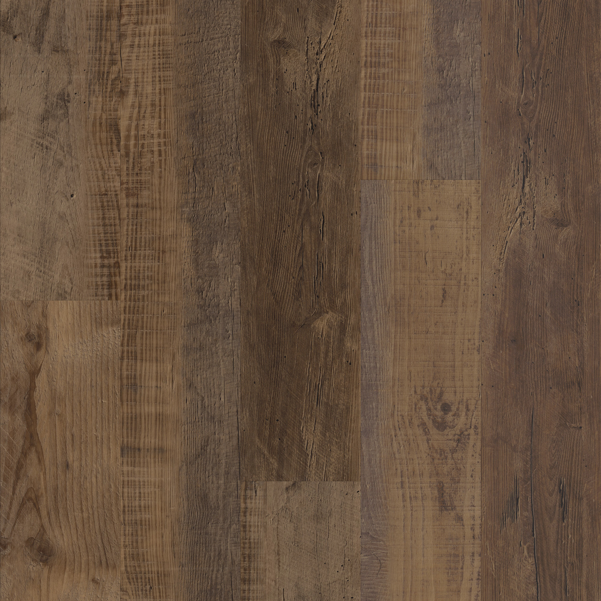 Duxbury Oak, laid flat, seen from above