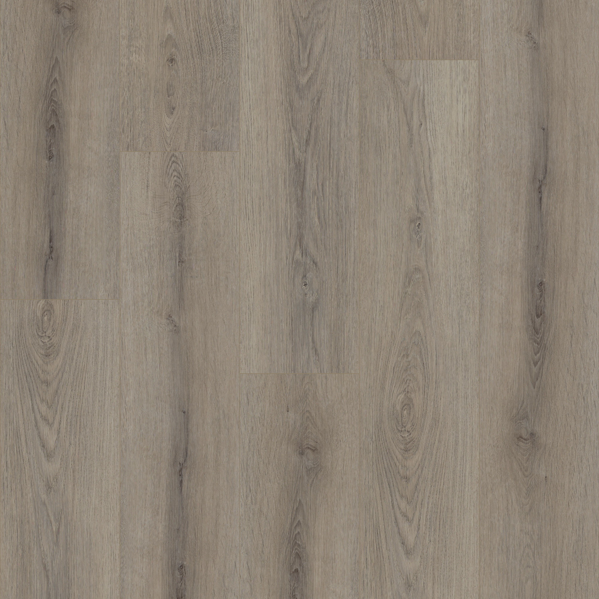 Ashen Brown swatch