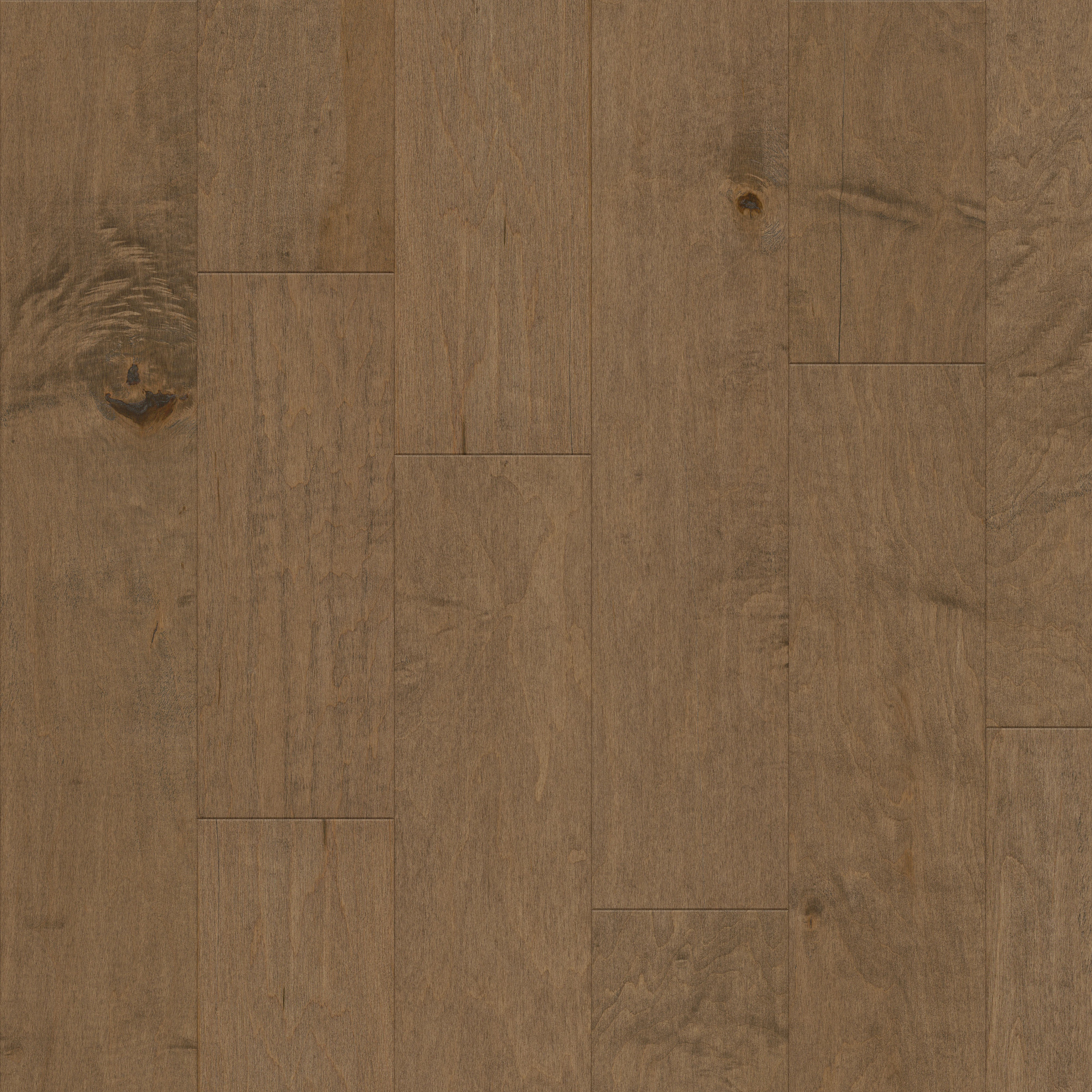 Buckskin, laid flat, seen from above