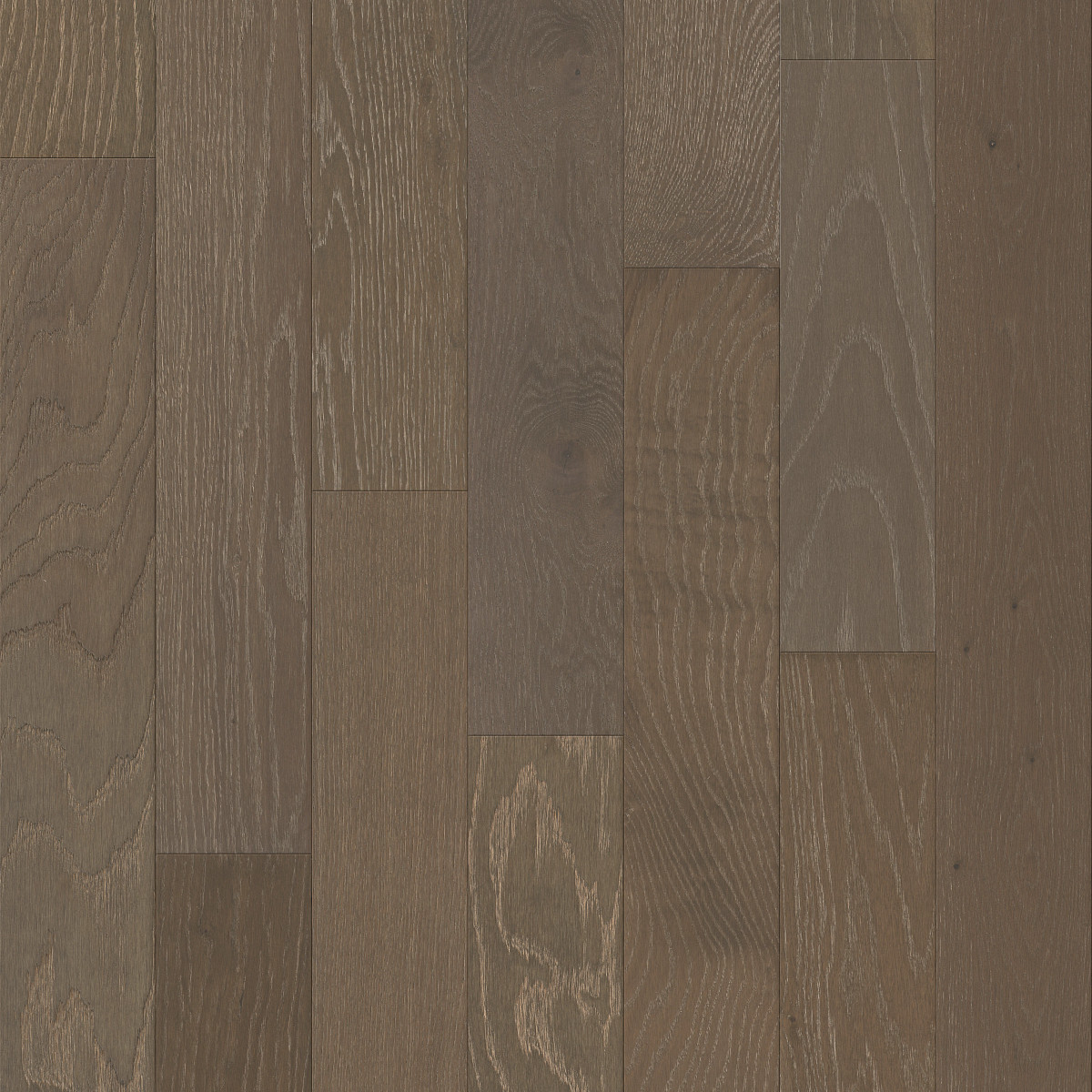 Ashlee Grey, Empire Oak Plank