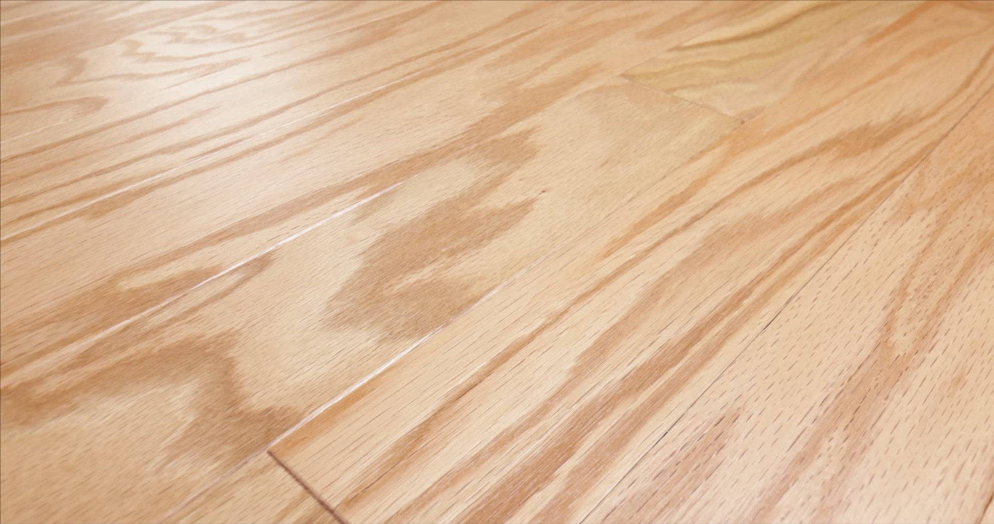 Natural, the manufacturer's 360 video