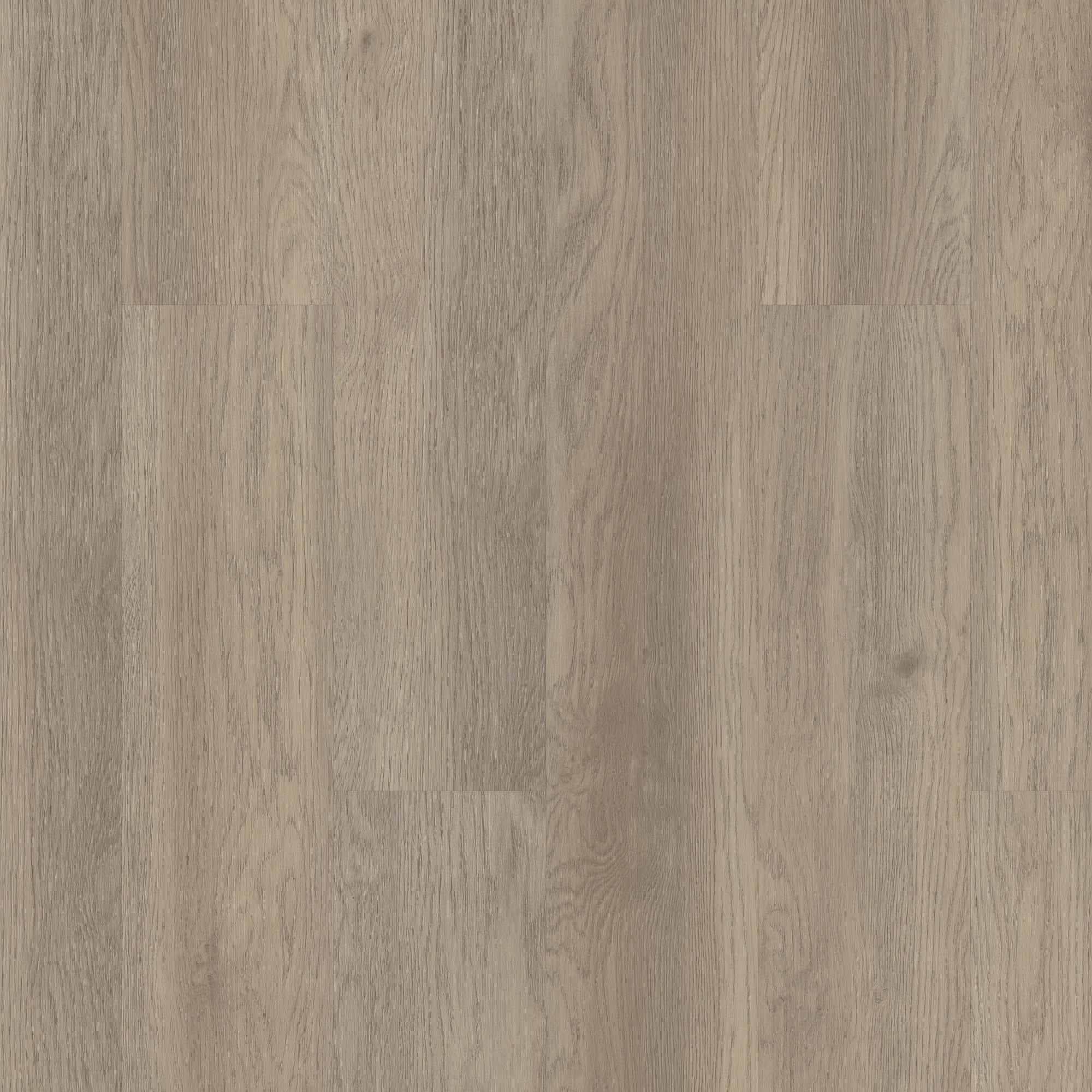 Salt River swatch