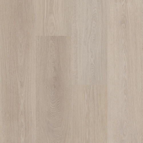 Shale Oak