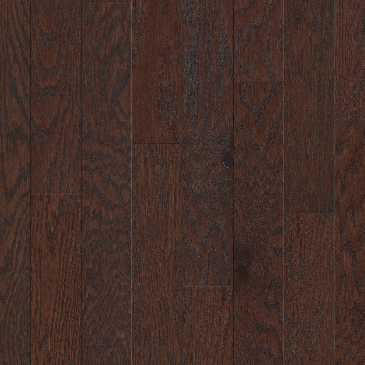 Coffee Bean, Timeless Oak 5"