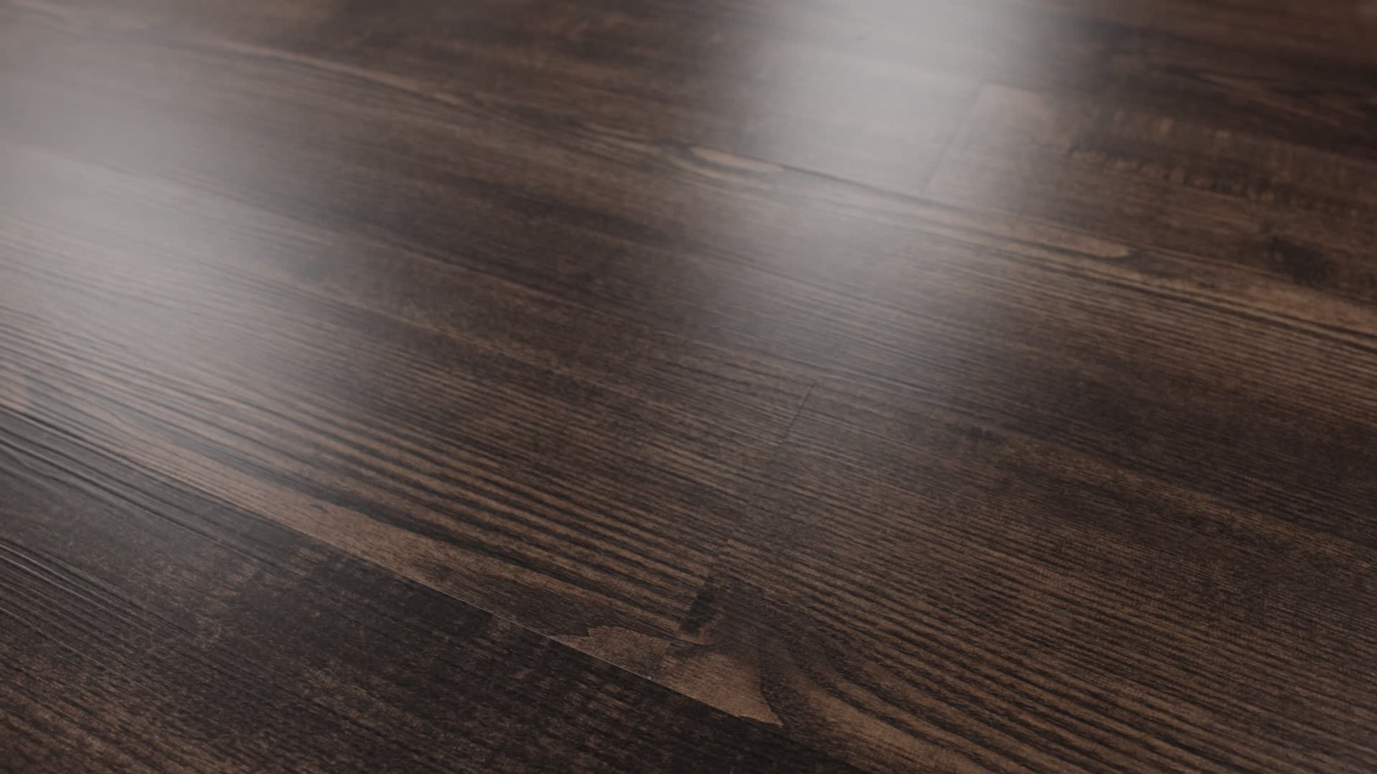 Sweetgum, the manufacturer's 360 video