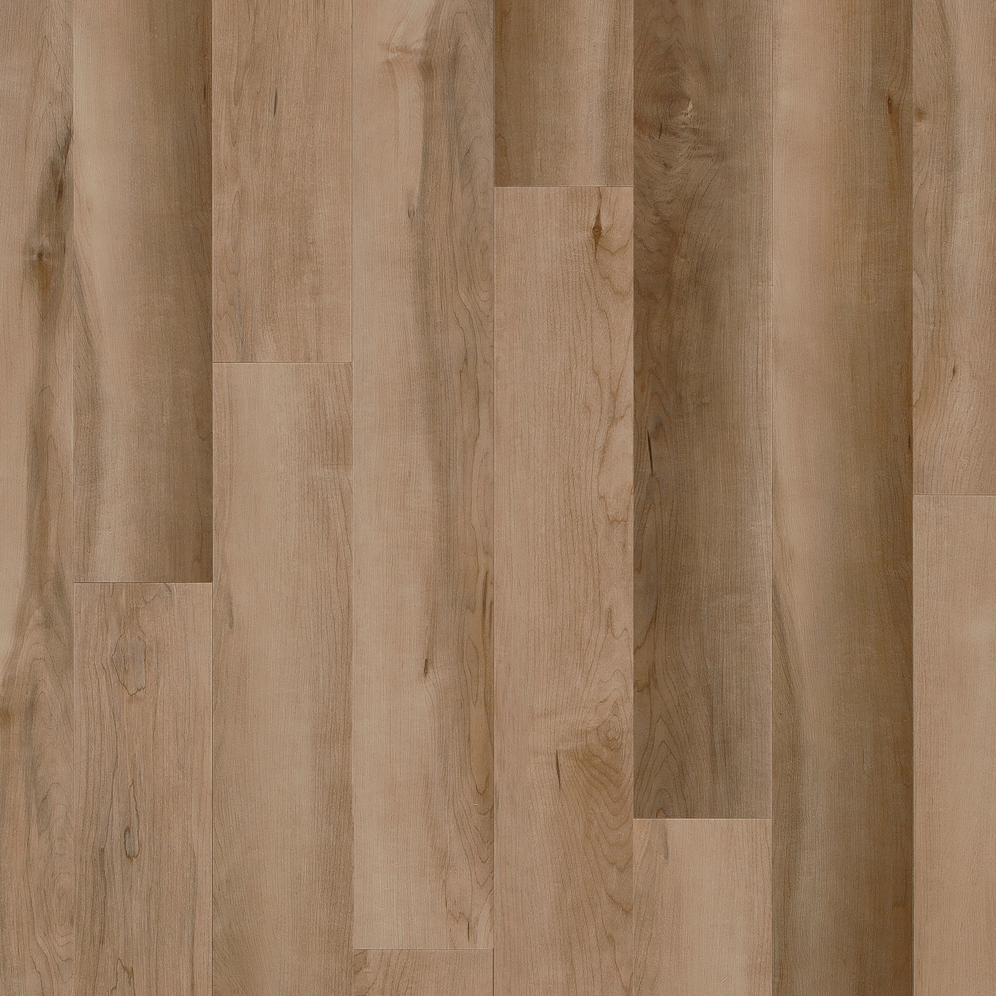 Dawson Maple swatch