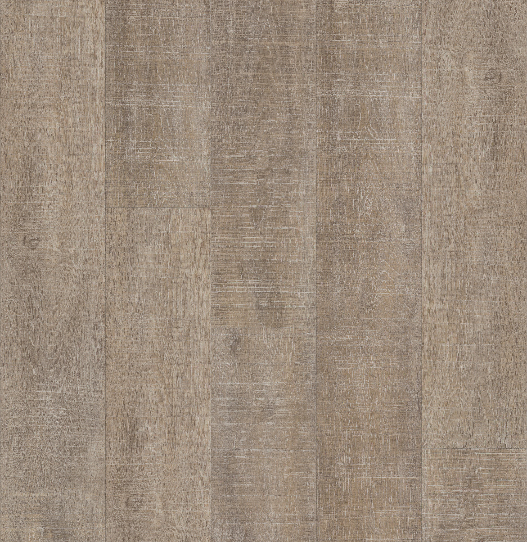 Nantucket Oak, laid flat, seen from above