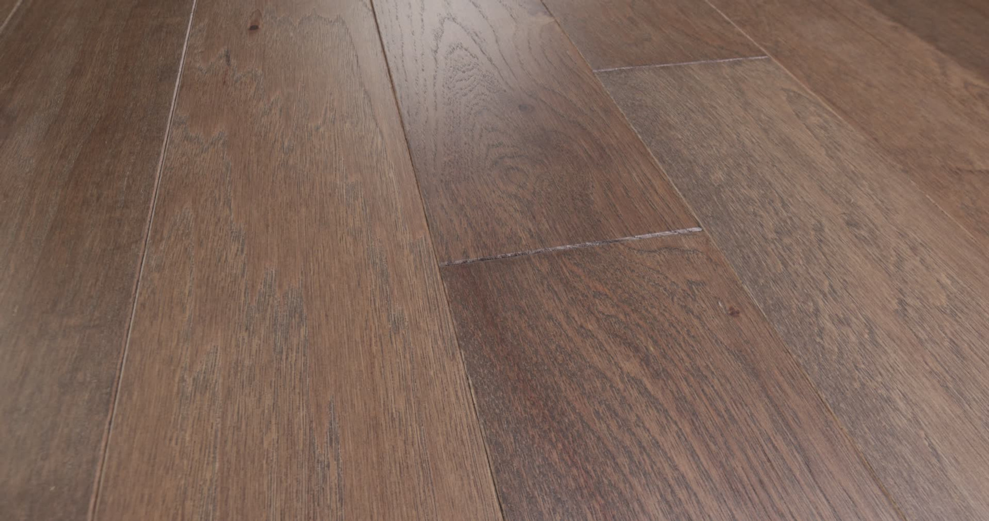 Chestnut, the manufacturer's 360 video