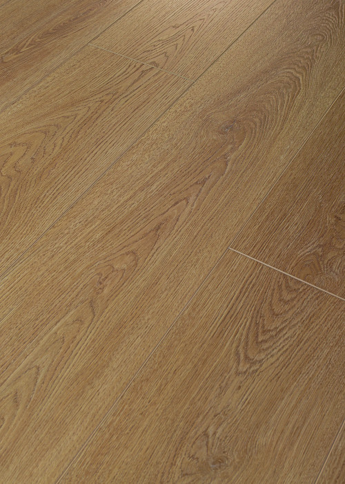 Saddle Oak