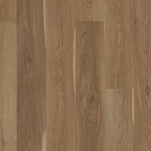 Olive Tree, Pantheon HD+ NATURAL BEVEL