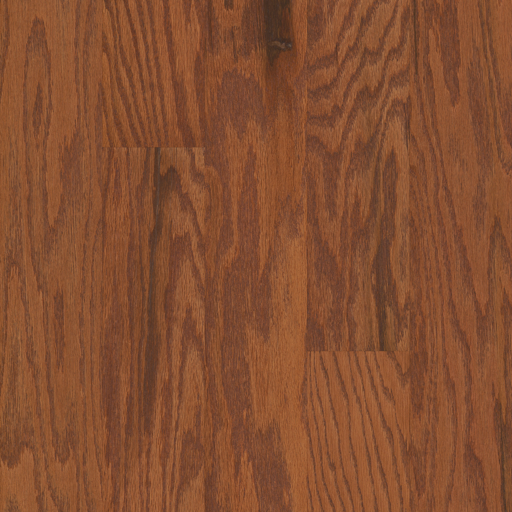 Gunstock, laid flat, seen from above