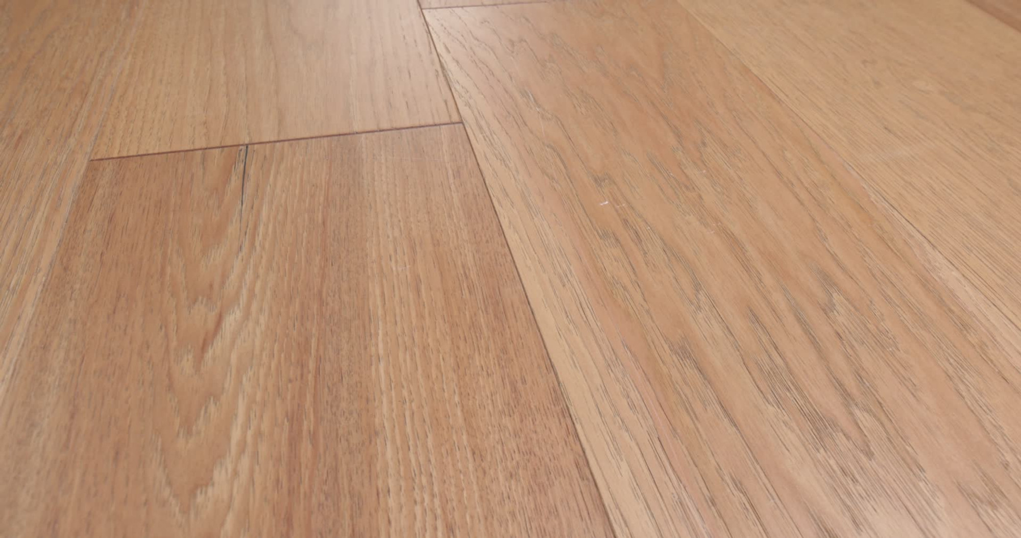 Highlands, the manufacturer's 360 video