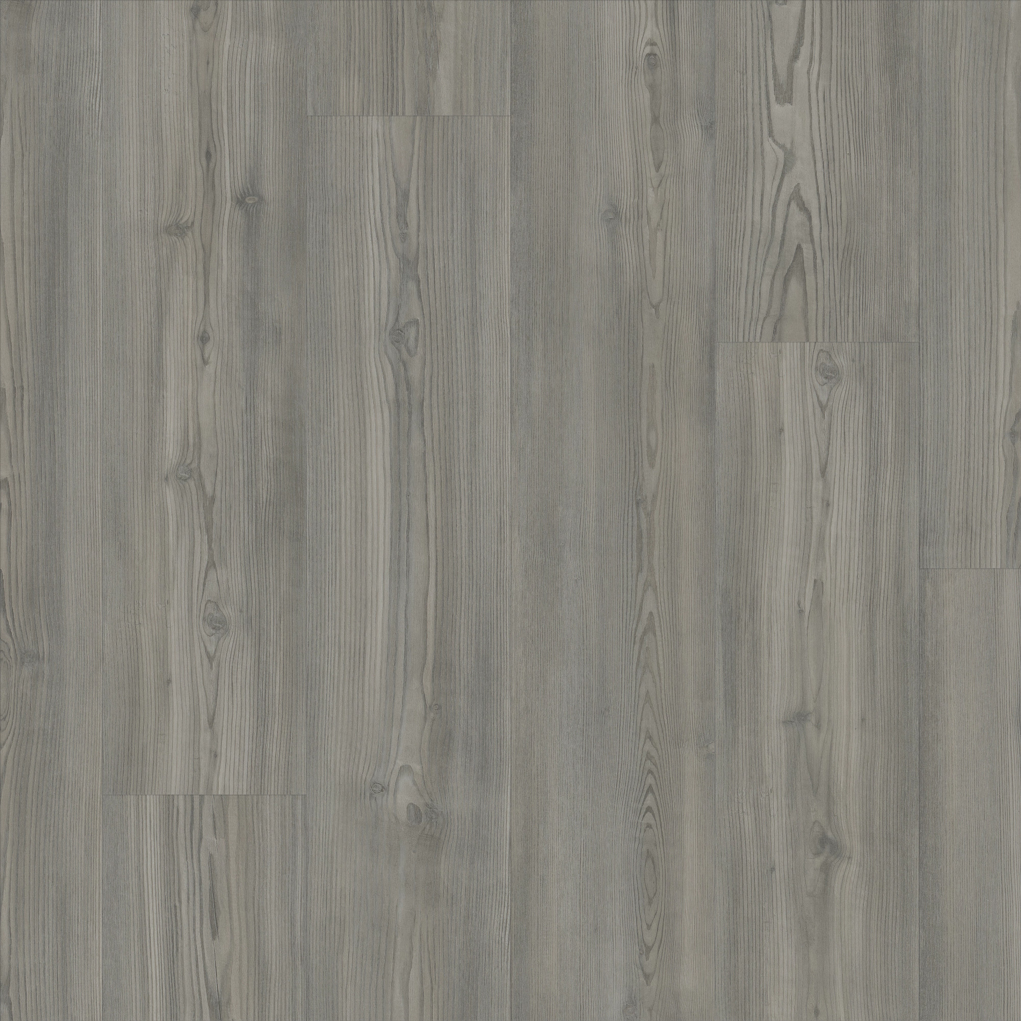 Fresh Pine swatch