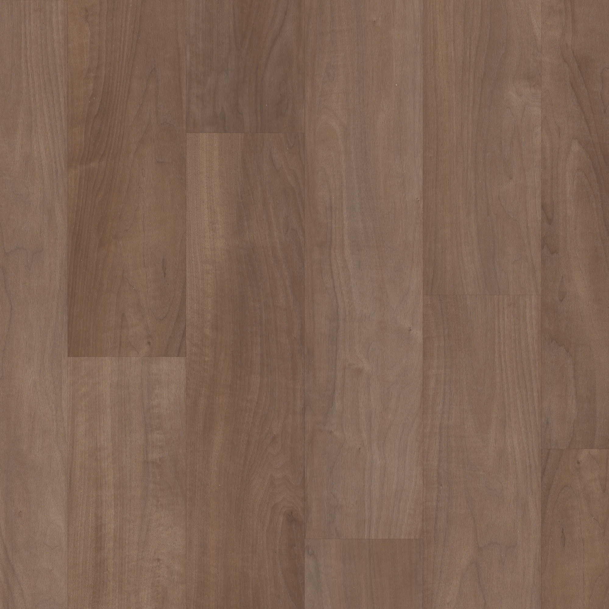 Chromatic Beech swatch
