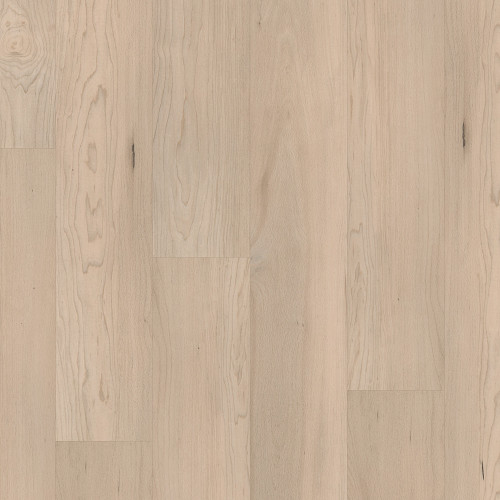 Norfolk Maple