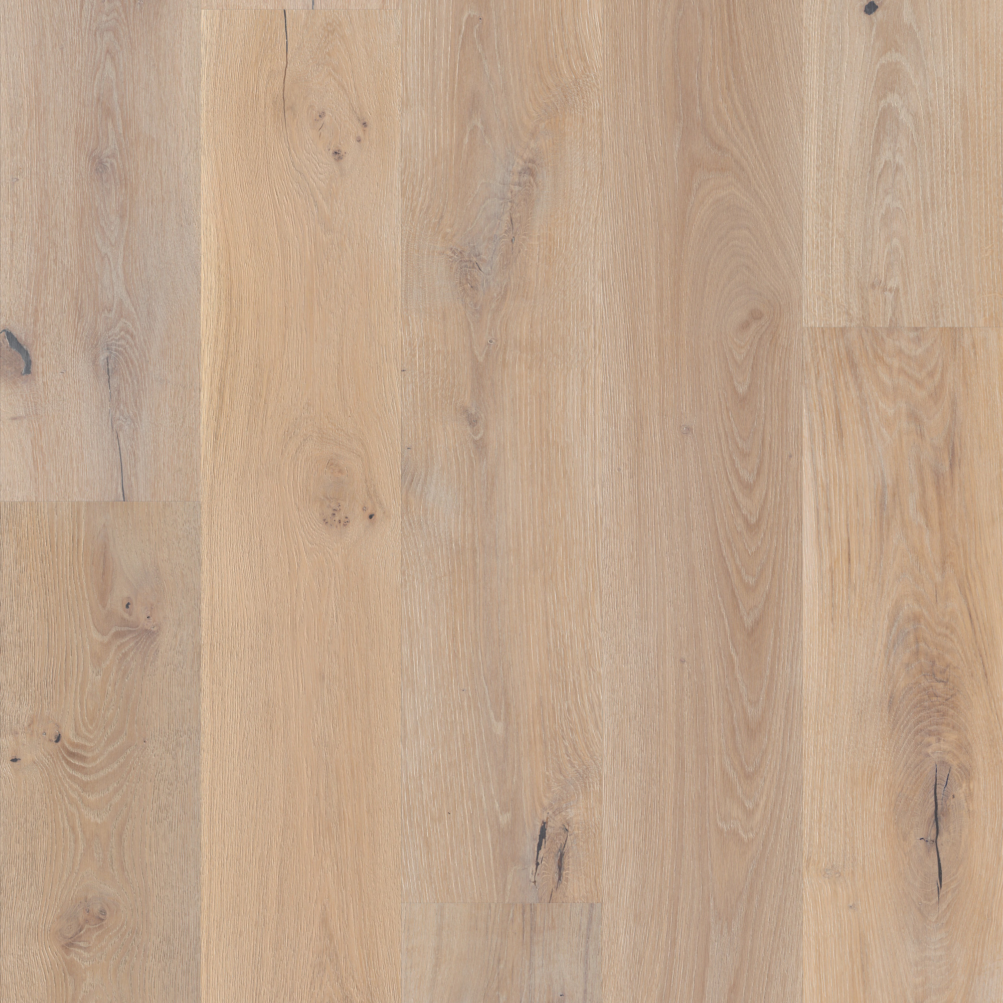 Portico swatch