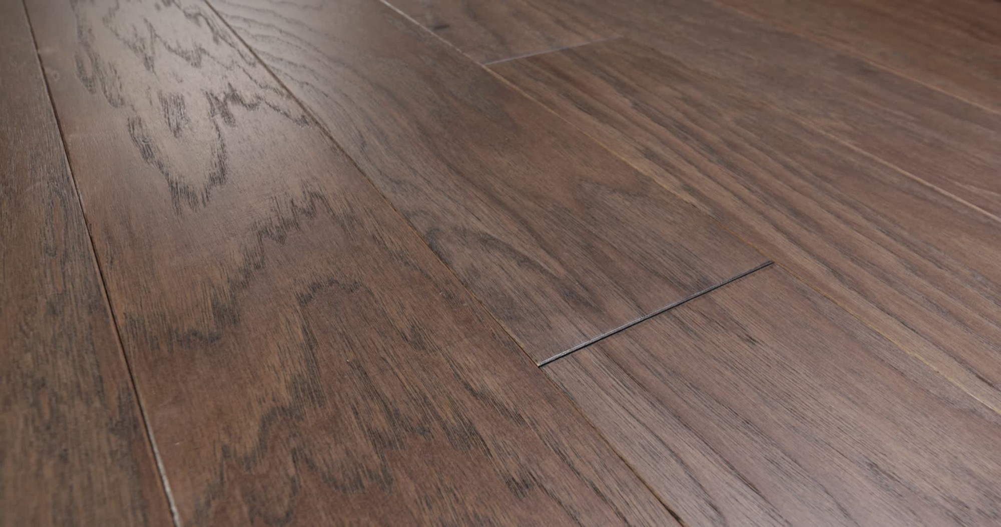 Chestnut, the manufacturer's 360 video