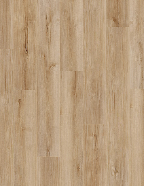 Lucent Oak